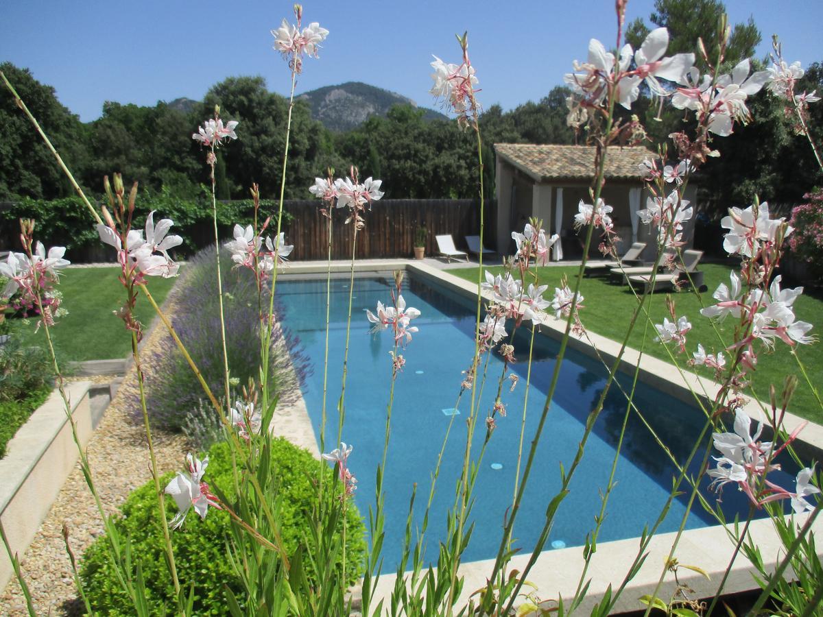 La Bergerie De Nano Bed & Breakfast Beaumes-de-Venise Exterior photo